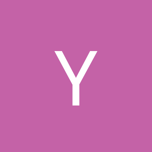 Yogi