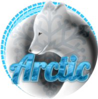 Arctic Virtual Transport Company