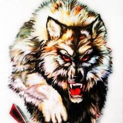 [TK WOLF] W.O.L.F 716RUS